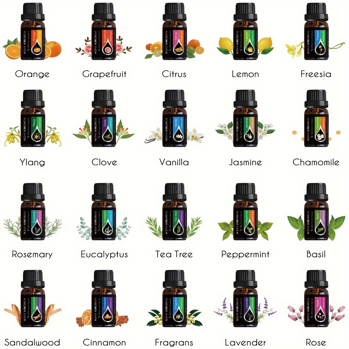 20pcs/set Essential Oil Set La - Home Fragrance Eucalyptus ulasan dan harga