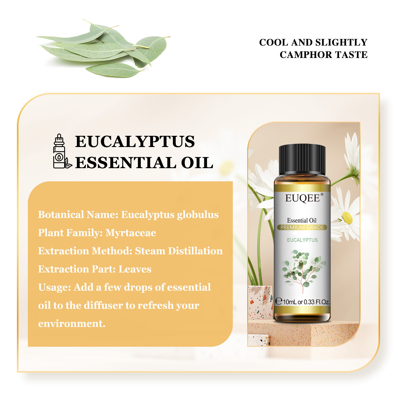 EUQEE 10ML Natural Essential O - Home Fragrance Eucalyptus ulasan dan harga